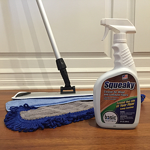 PROFESSIONAL MOP KIT W SQUEAKY